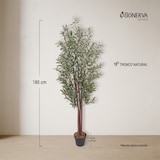 thumbnail of Bonerva | Olivo Nature 180 cm Altura | Planta artificial con Tronco natural | Ideal para decorar interiores: hogares, negocios y hoteles