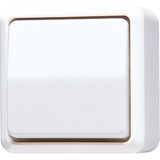 thumbnail of Jung Wippschalter 607 A WW 607AWW