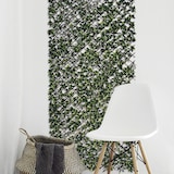thumbnail of Celosía extensible BAMBU hojas bicolor  TRELLIBAMBU BUXUS 1x2m BAMBU