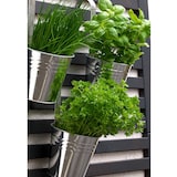 thumbnail of 6 x Blumentopf Hängetopf Pflanztopf Hängetöpfe Blumen Topf Kräutertopf Zink