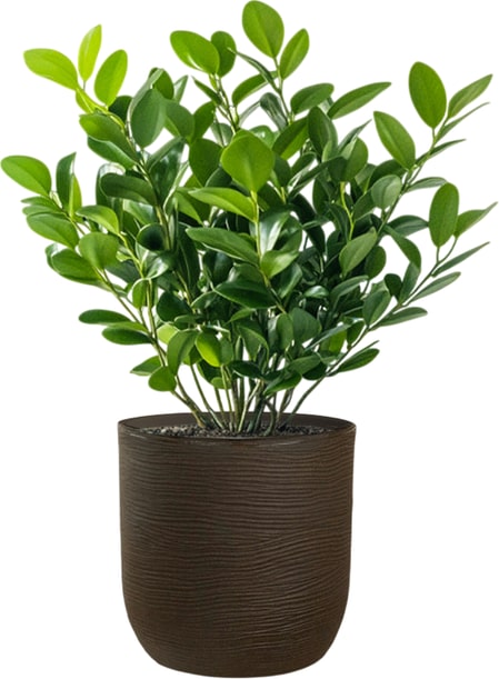 Raffaello Marrone 35x34cm zylindrische Harzvase für Zimmer- und Gartenpflanzen