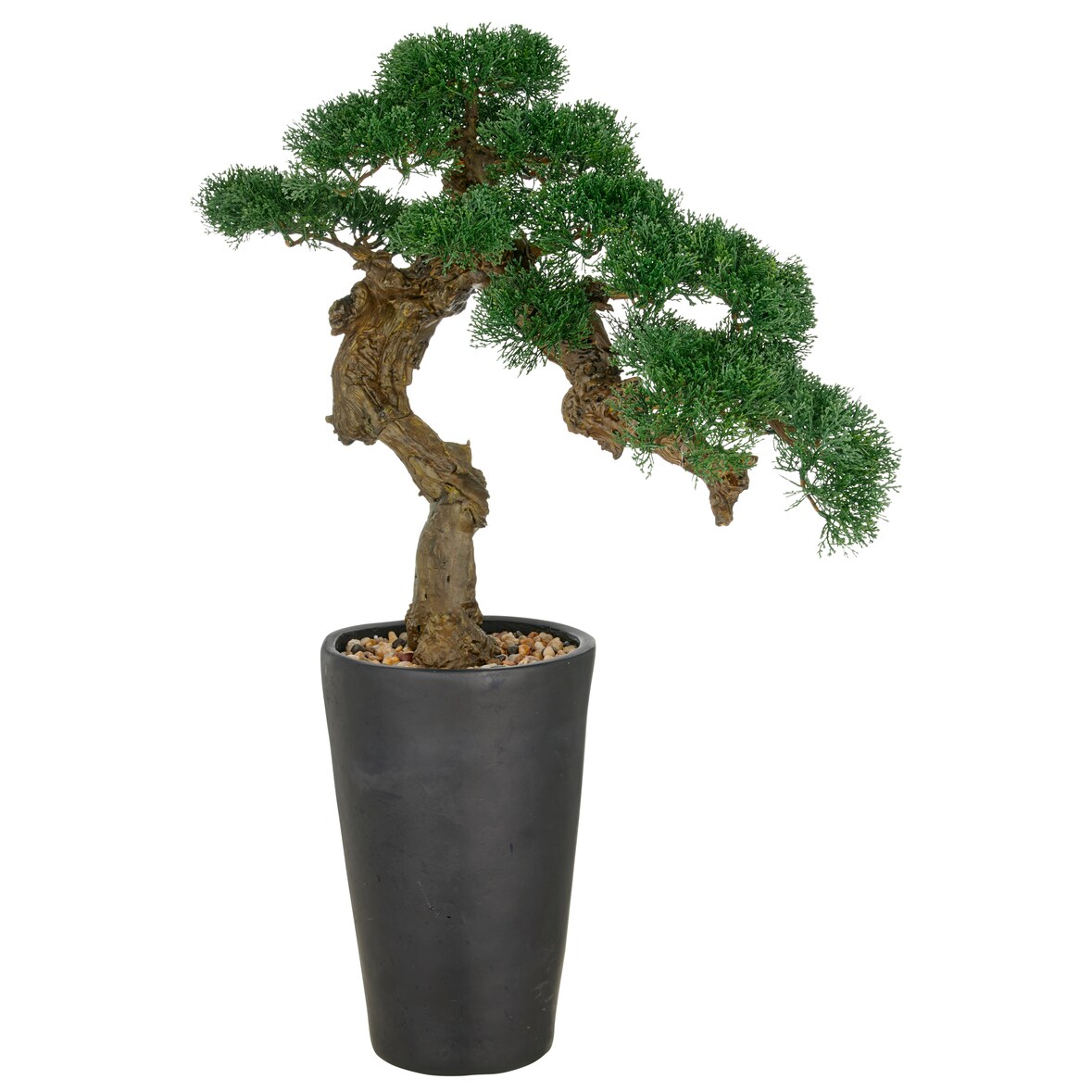 CREATIV green künstliche Pflanze Bonsai Zeder im schwarzen Magnesia-Topf, 80x60cm, UV-beständig