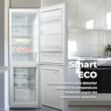 thumbnail of Frigorífico Combi EVVO F52X