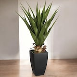 thumbnail of WellHome - Palmera Artificial en maceta 56x54x71cm