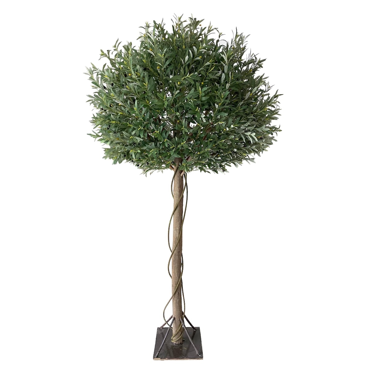 Bonerva | Olivo Luxe Nature 260 cm Altura | Planta artificial PREMIUM con tronco natural para hogares, negocios y hoteles | Gran realismo y estética