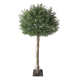thumbnail of Bonerva | Olivo Luxe Nature 260 cm Altura | Planta artificial PREMIUM con tronco natural para hogares, negocios y hoteles | Gran realismo y estética