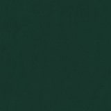 thumbnail of vidaXL Fauteuil 60 cm fluweel donkergroen