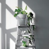 thumbnail of Prosperplast - Maceta FURU - 12,2x12,2x12,2cm en color Blanco