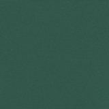 thumbnail of Toldo lateral retráctil verde oscuro 220x500 cm