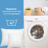 thumbnail of 4er Set Federkissen 100% Federn 40x60 - 600g OEKO-TEX Kissen Füllkissen Bezug Baumwolle weiß / Innenkissen / Kissenfüllung / kleine Kopfkissen / Sofak