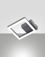 thumbnail of BARD moderne LED-Deckenleuchte 11W Anthrazit 3394-24-282 Fabas Luce