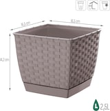 thumbnail of Prosperplast - RATOLLA SQUARE 2,5-l-Blumentopf – 16,5 x 16,5 x 14,2 cm in der Farbe Mokka