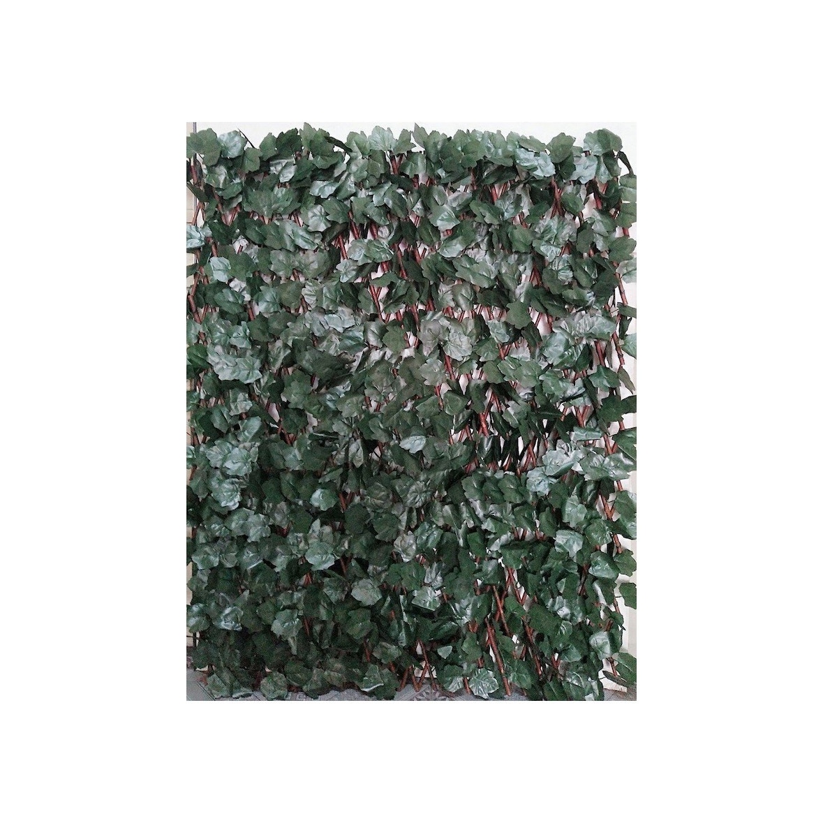 Celosia Extensible de Mimbre -  Hoja Sauce -