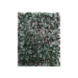 thumbnail of Celosia Extensible de Mimbre -  Hoja Sauce -