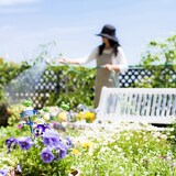 thumbnail of Relaxdays Schlauchwagen 45m, fahrbare Schlauchtrommel für Garten & Balkon, mit Schlauchführung, 76,5x44x41 cm, grau-gelb