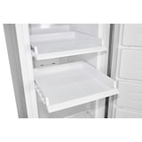 thumbnail of Exquisit Gefrierschrank GS271-NF-H-040D Inoxlook | No Frost | Nutzinhalt: 204 L | Temperaturregelung | Alarm