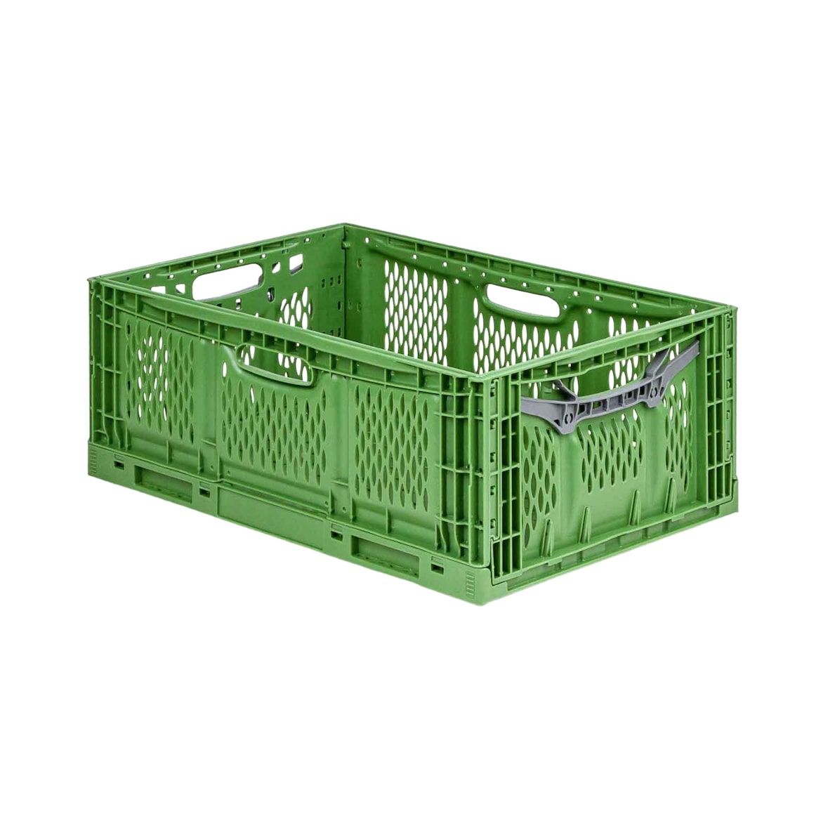 PROREGAL Stabile Profi-Klappbox Chameleon in Industriequalität | HxBxT 23x40x60cm | 45 Liter | klappbar | Eurobox Eurobehälter Transportbehälter