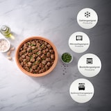 thumbnail of Viapot Medium 2500 ml - Natur - Terrakotta-Schmortopf mit Deckel - 24×12 cm