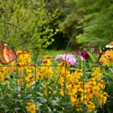 thumbnail of Relaxdays Beetzaun, 5-teilige Beetumrandung für Garten, Dekozaun aus Metall, zum Stecken, HxB: 62 x 244 cm, grün