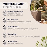 thumbnail of CASARIA® Pflanzkasten Ethica 80x36x36cm Braun