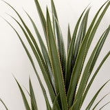 thumbnail of HOMCOM planta artificial de yuca en maceta 190 cm planta falsa con 39 hojas realistas para decoración en hogar salón oficina jardín Ø17x190 cm verde