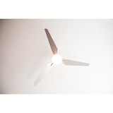 thumbnail of Eco Avietos 162, Ventilatore con Luce acciaio satinato e grigio, CasaFan