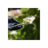 thumbnail of 6L tuinspuit + Black & Decker tuindrukspuitlans
