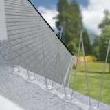 thumbnail of Barrera anti-palomas  SPIKE BIRD anti-palomas 1M