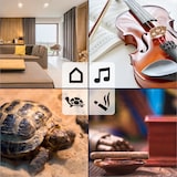 thumbnail of Digitales Thermo-Hygrometer schwarz