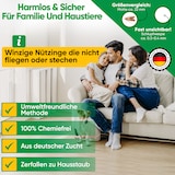 thumbnail of Schlupfwespen gegen Lebensmittelmotten 4 Karten - Effektiv Motten bekämpfen / Bio- Mittel gegen Motten, Alternative zu Chemischen Mottenfalle