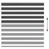 thumbnail of vidaXL Doppelrollo Schwarz 140x100 cm Stoffbreite 135,9 cm Polyester