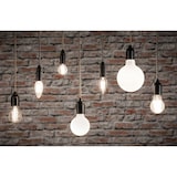 thumbnail of Paulmann LED Globe Filament   E27 230V 470lm 5,6W 2700K dimmbar Opal 28626