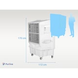 thumbnail of PURLINE Climatiseur évaporatif 22 000 m³/h RAFY 350