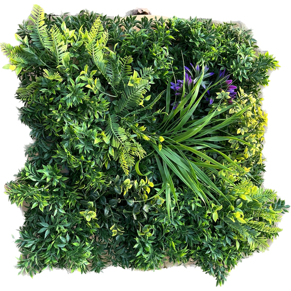 GeckoWall “RIO” | Pared de plantas de la selva premium | Revestimiento de paredes para hostelería plantas artificiales | Paneles de pared tropical