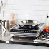 thumbnail of Poêle inox professionnelle Ultraply  Ø20cm