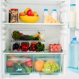 thumbnail of Relaxdays Kühlschrank Organizer, 3er Set, Kühlschrankeinsätze mit Deckel & Datum, HxBxT: 10,5 x 21 x 33 cm, transparent