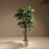 thumbnail of Dracaena artificial de 153 cm - Naturing Monde - Interior - Alta qualidade - Tronco natural