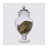 thumbnail of FIVE - 2,1L Bonbonglas aus Glas mit Ständer