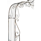 thumbnail of Rosenbogen Aurora bronze