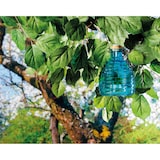 thumbnail of Umweltfreundliche Wespenfalle Glas 7x13cm transparent bunt 1 Stück sort. - Wespenfänger zum Aufhängen Bügel Wespen Fanggerät Fänger Wespen, Hornissen