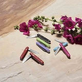 thumbnail of VICTORINOX Blumenmesser gerade Klinge 55 mm rot 39050B1