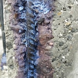 thumbnail of Passivador e reparador de metais (1l) - Desoxidante incolor, protege e previne a corrosão e a ferrugem no ferro, aço…