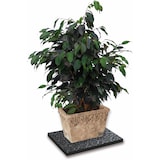 thumbnail of IDS dalle anti-vibratoire noire - 600x600mm - ep.10mm