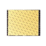 thumbnail of Klebefolie klein für insect-o-cutor Flytrap Pro