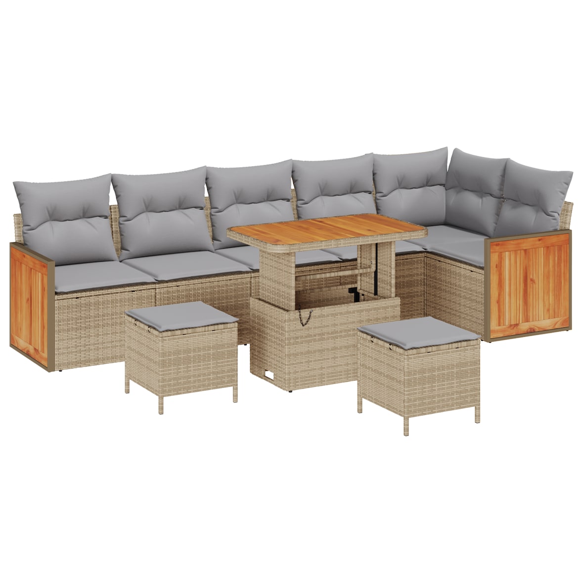 vidaXL 9-teiliges Garten Sofa Set mit Kissen Beige Poly Rattan Akazie