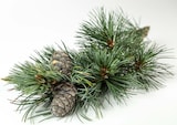thumbnail of Flauschiges und wohltuendes Zirbenkissen mit Schafwolle und Zirbe 40.10-029