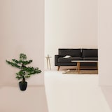 thumbnail of Plante artificielle Bonsaï en pot H 80 cm