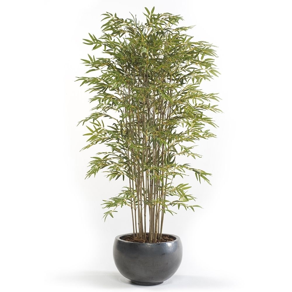 Árbol bambú acabado PREMIUM. Altura 240 cm y 2320 hojas