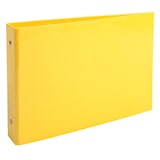 thumbnail of Exacompta - Réf. 829E - Carton de 10 classeurs pour fiches bristols - 2 annx 25mm - Dos 35mm - Dimensions 16,5 x 24 cm - Assortis