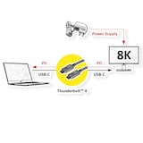 thumbnail of Cavo ROLINE Thunderbolt™ 4, C-C, ST/ST, 8K UHD-2, 40Gbit/s, 100W, passivo, nero, 0,5 m